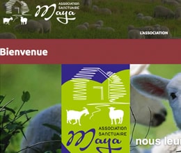 Site refuge pour animaux - site web créé par Jaune-cerise, Neuchâtel
