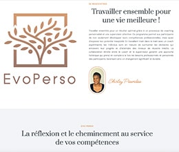 Site conseil - site web créé par Jaune-cerise, Neuchâtel