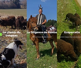 Site les petites actions - site créé par Jaune-cerise, Neuchâtel